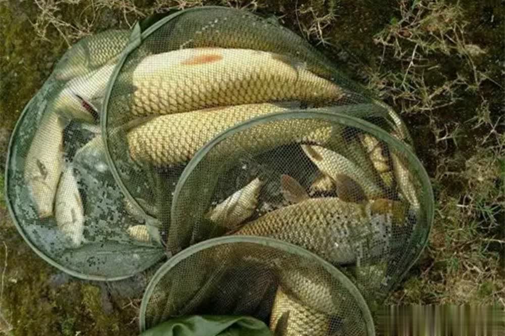 种活铅钓法, 滑漂的搭配, 个人以为跑