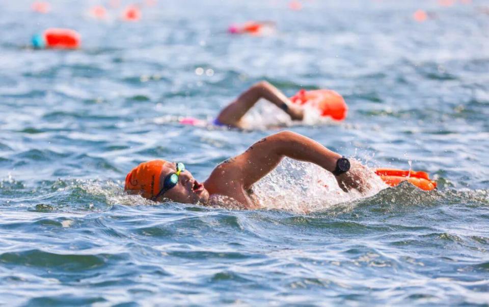 wQ, 公岛邀请赛 wQ, 公岛邀请赛