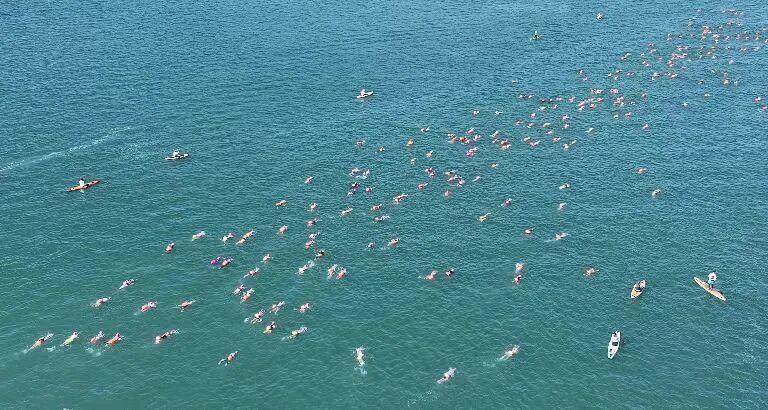 地参赛者占 地参赛者占